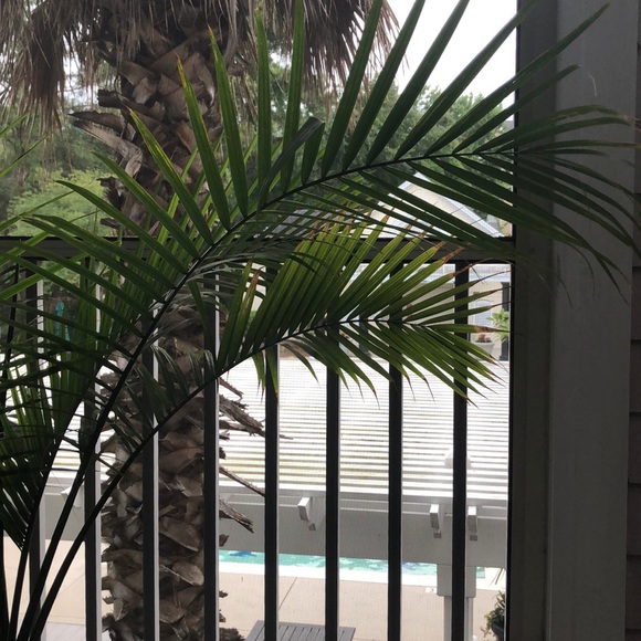 Meet your Posher, John - Picture 1 of 1